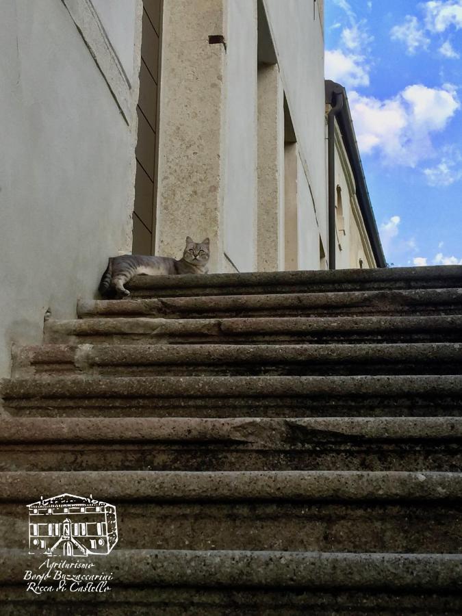 Agriturismo Borgo Buzzaccarini Rocca di Castello Monselice Esterno foto